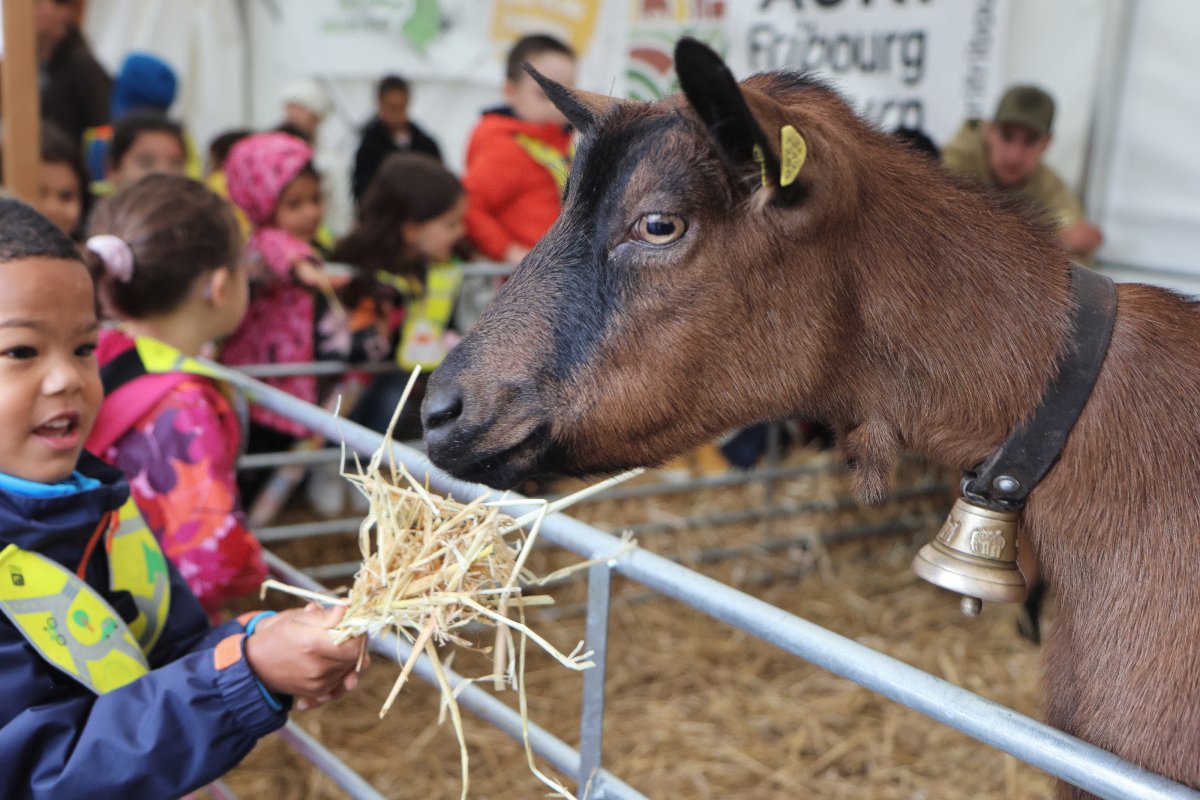 250912_benicon_sarinoise_ecole_a_la_ferme_2_copyright_heloise_hess
